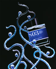 803 by Bon Parfumeur at Indigo 