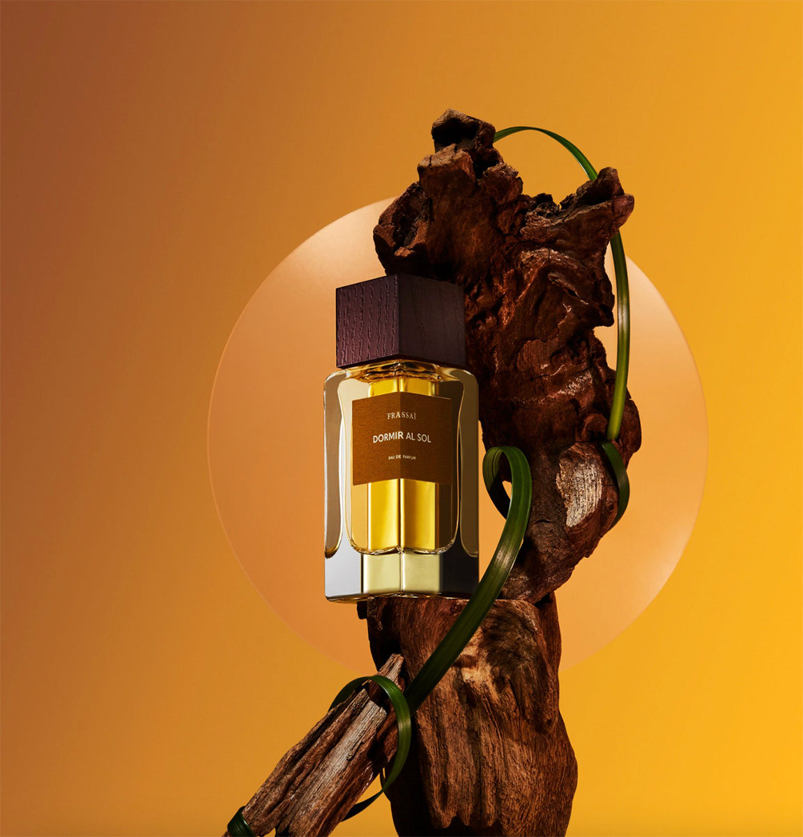 Dormir Al Sol by Frassaï at Indigo