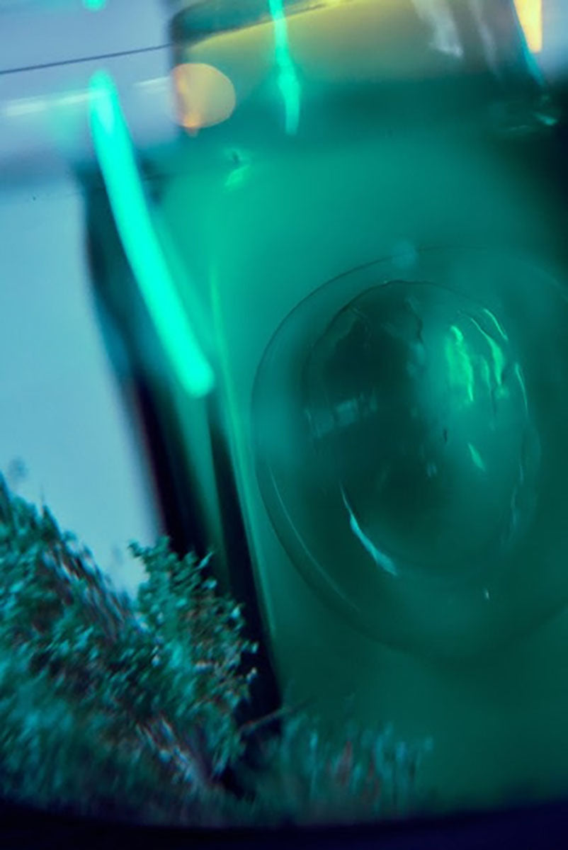 Moon Moss by Curionoir at Indigo