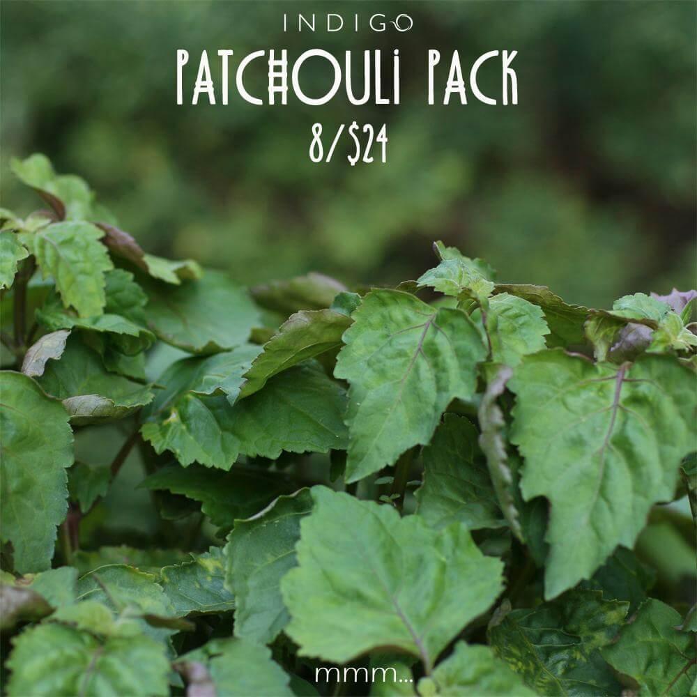 Patchouli Pack at Indigo - Indigo Perfumery