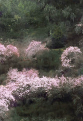 Spring mood in Bome by hima jomo