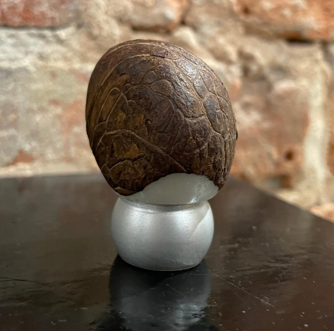 TAG nuts by ånd fragrance at Indigo