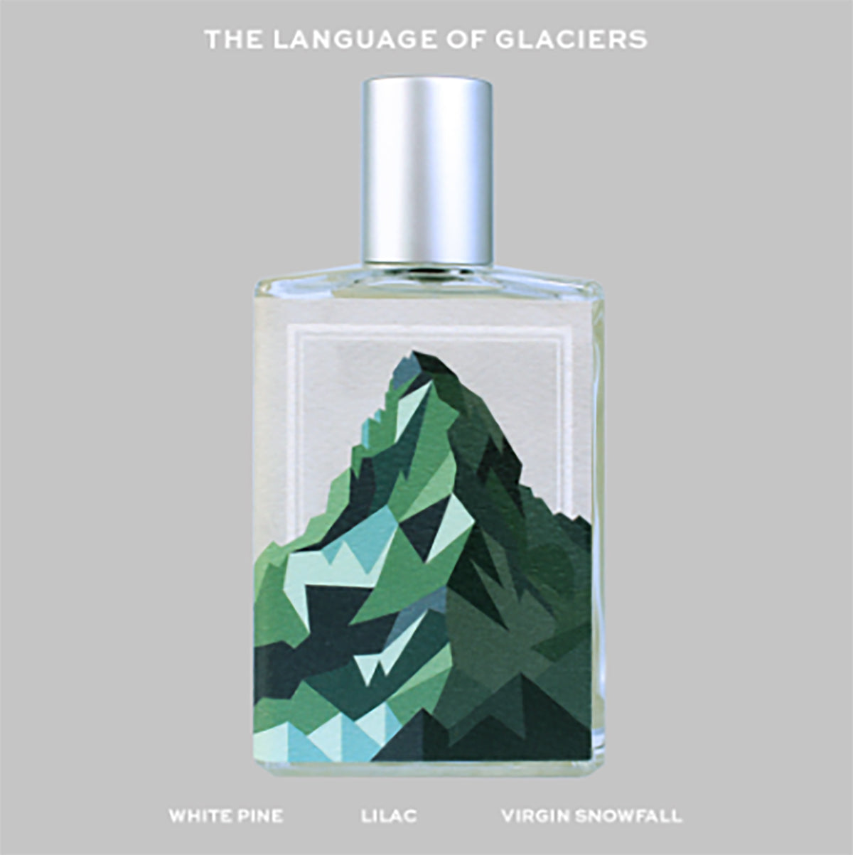 The Language of Glaciers by Imaginary Authors at Indigo