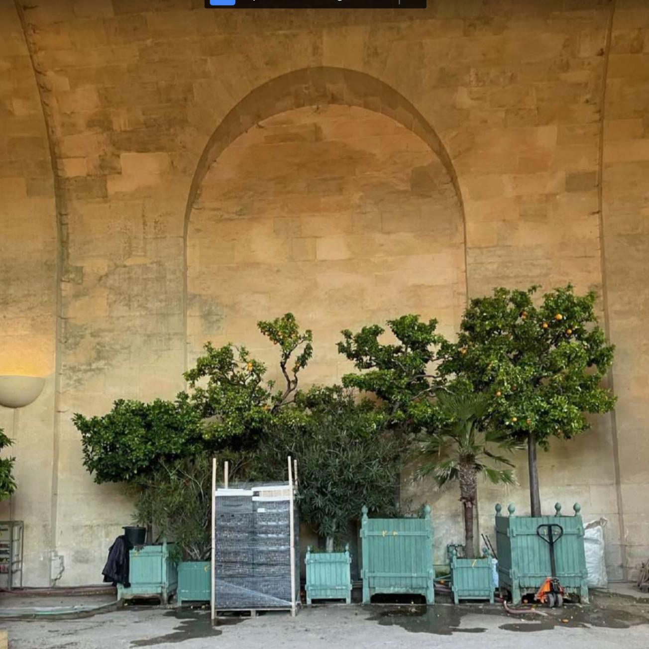 Orangery w trees Versailles CH